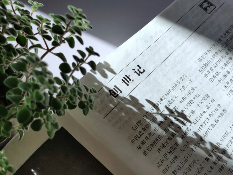 Shopee台湾站8月31日评分新规解读：低分店铺限制期限延长，限品范围收紧