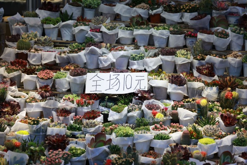 2026亚马逊FBA降费全解析：超大件每件降2.08美元，年发百万件省数百万美元