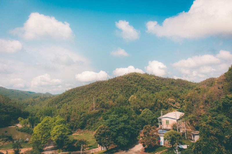 欧盟ECGT指令9月27日起统一适用：笼